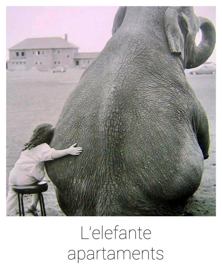 Elefante Appartamenti Pescara Eksteriør billede